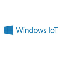 Windows 10 IoT Ent. LTSC Value
