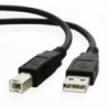 Câble de connexion Zebra, USB (P1031365-055)