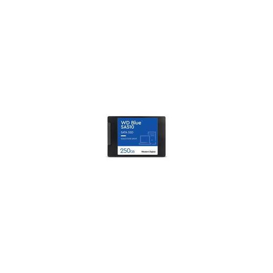 SSD Colormetrics, 250 Go (WDS250G3B0A)