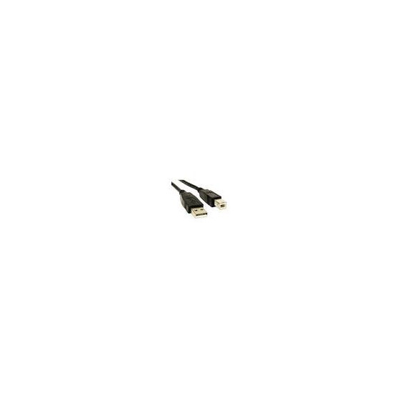 Câble USB (A/B), 5 m, noir (USB5BF)