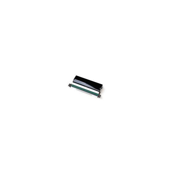 Tête d'impression Zebra, 8 points/mm (203 dpi), paquet de 10 (P1115687)