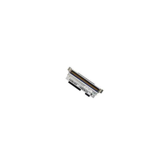 Service Zebra, 5 ans (Z1AE-ZT231-500)