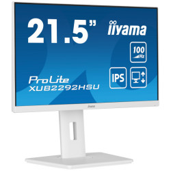 iiyama ProLite...