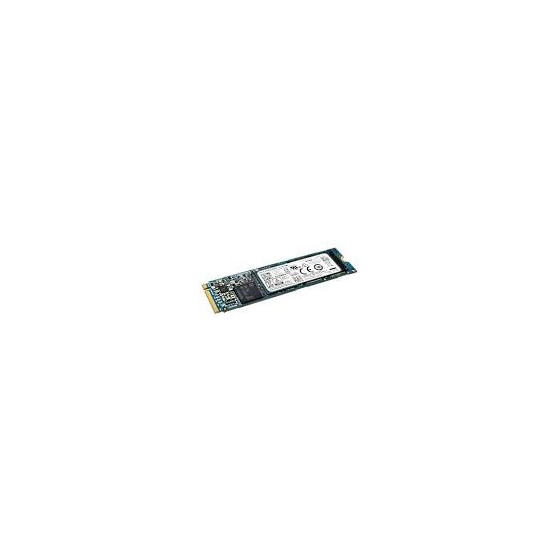 Disque dur Diebold Nixdorf, SSD, 256 Go (CRSSD-MLC-256GB)