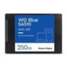 SSD Colormetrics, 250 Go (WDS250G3B0A)