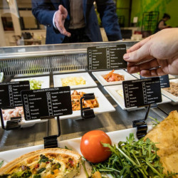 100 x Cartes Zebra Plastique, Noir