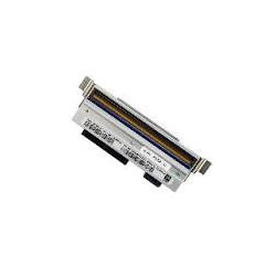 Service Zebra, 5 ans...