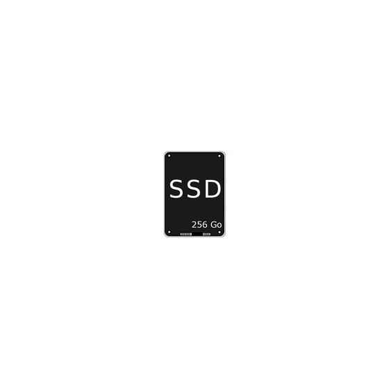 Aurès Disk SSD 128Go avec Win10