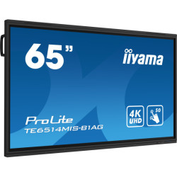Modèles iiyama ProLite IDS